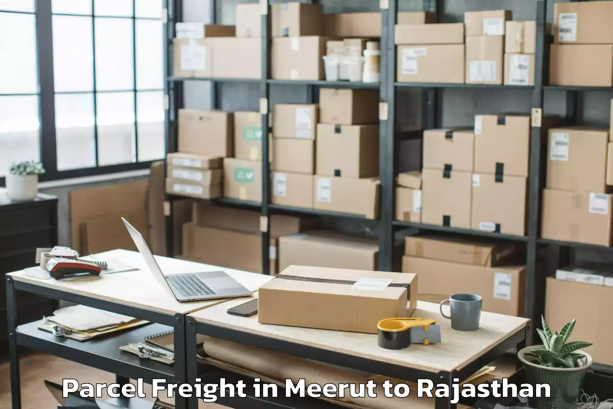 Easy Meerut to Peepalkhoont Parcel Freight Booking